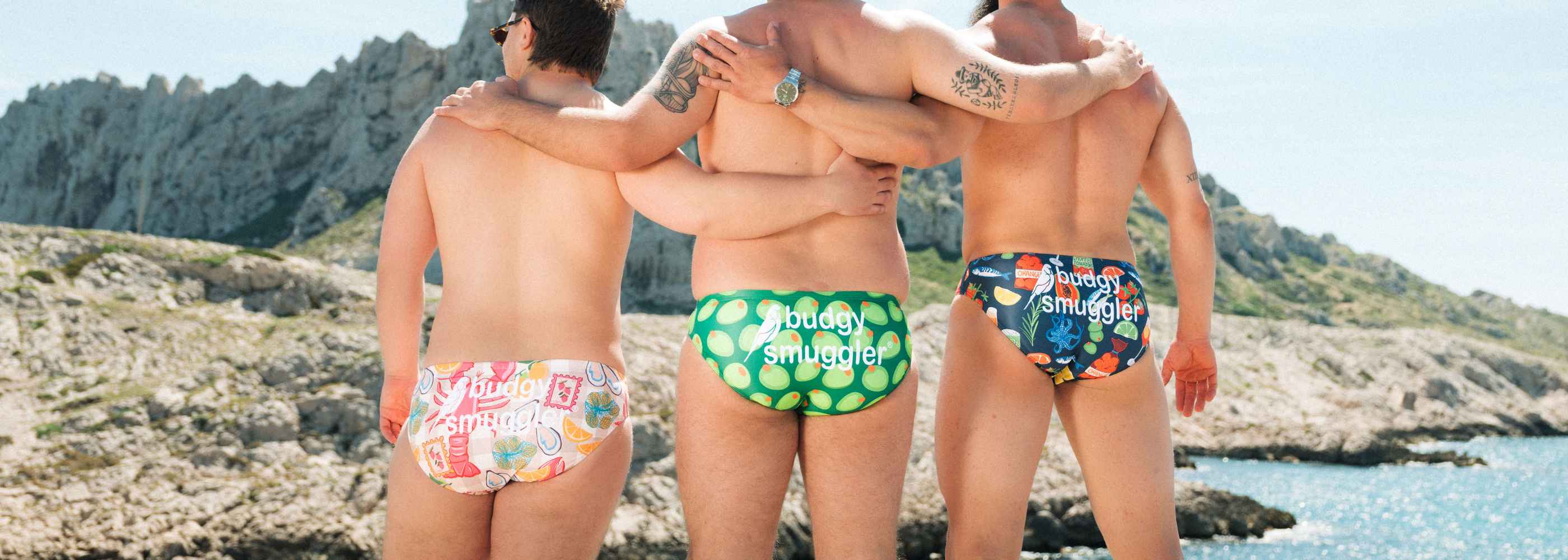 Sun Out, Budgys Out